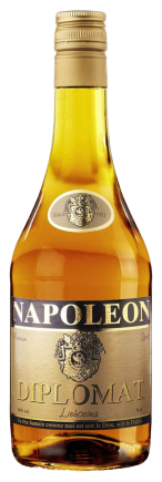 Napoleon Diplomat